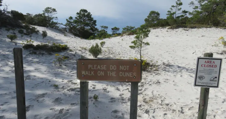 The Deer Track Trail and Morris Lake Trail wind through the dunes, but don't leave the trail and climb on the dunes, where you can damage the vegetation. (Photo: David Blasco)