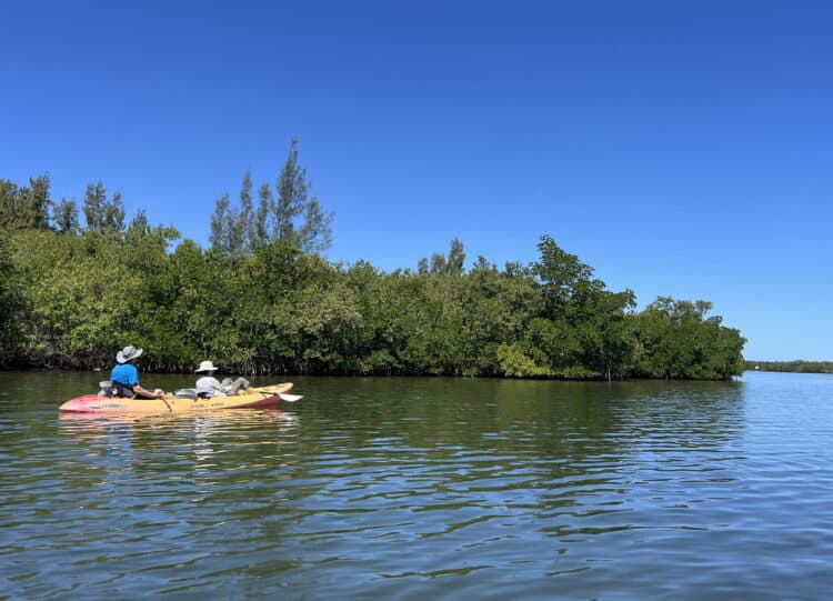 Vero Beach: Just enough to do to have a blast and still relax 14 This image has an empty alt attribute; its file name is vero-beach-kayak-750x541.jpg
Kayaking in the Indian River Lagoon from Vero Beach. (Photo: Bonnie Gross)
