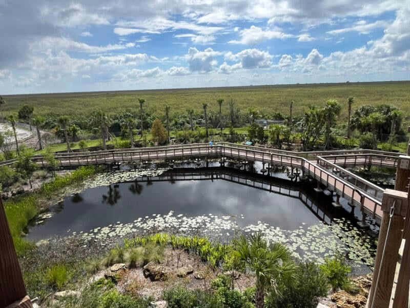 New boardwalk brings an up-close Everglades experience to Alligator Alley 1 Part of the walkway at the Everglades Elevated Boardwalk travels over ponds that are likely to attract wildlife. (Photo: Bonnie Gross)