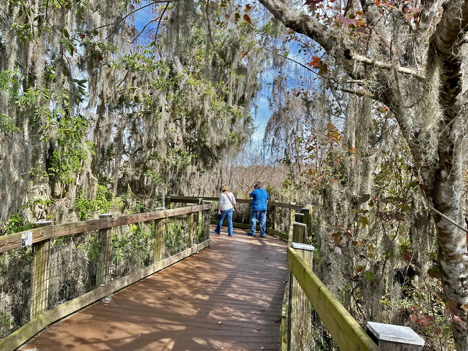 Visitors stroll on the boardwalk at the Oakland Nature Preserve. (Photo: Bonnie Gross)
