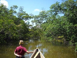 Florida paddling: Whiskey Creek in John U. Lloyd State Park, Dania Beach, Florida