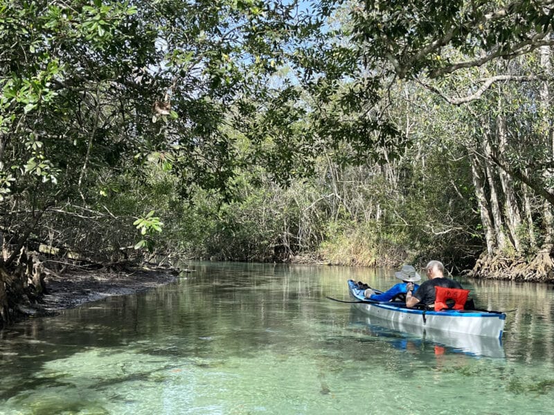 'Springs break:' 3 springs, 3 days; kayaking Florida's sparkling jewels 4 The Weeki Wachee is a shallow, narrower spring run with superb clarity and a white sand bottom. (Photo: Bonnie Gross)