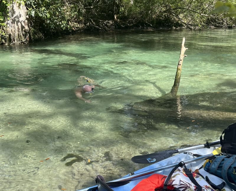 'Springs break:' 3 springs, 3 days; kayaking Florida's sparkling jewels 5 Swimming in the clear waters of the Weeki Wachee. (Photo: Bonnie Gross)