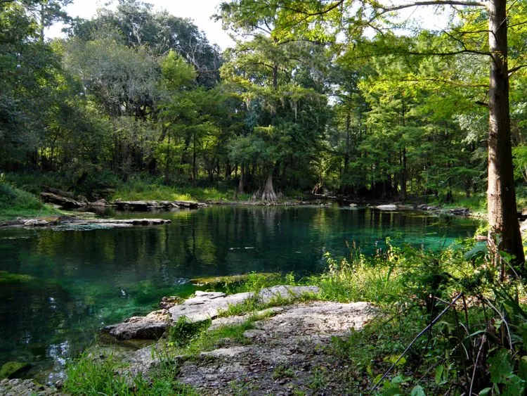 Underwater parks: This spring is an entryway to an extensive cave system that lies underground at Wes Skiles Peacock Springs State Park in Live Oak. (Photo via Flickr courtesy Phil's 1st Pix)