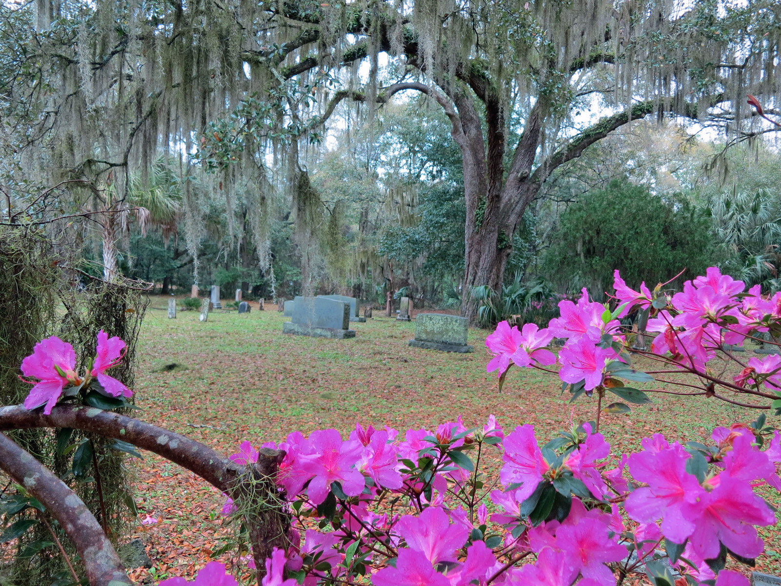 Old cemetery in spring along Withlacoochee State Trail in Inverness.(Photo: Bonnie Gross)