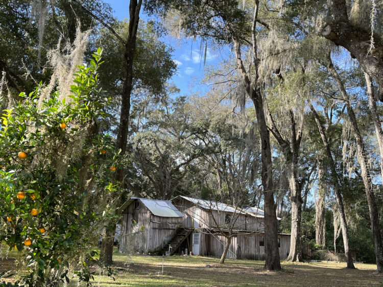 One of our favorite things about the Withlacoochee State Trail is the regular glimpses you get of Old Florida scenery, which includes ranches, cattle, horses and authentic looking old buildings.  (Photo: Bonnie Gross)