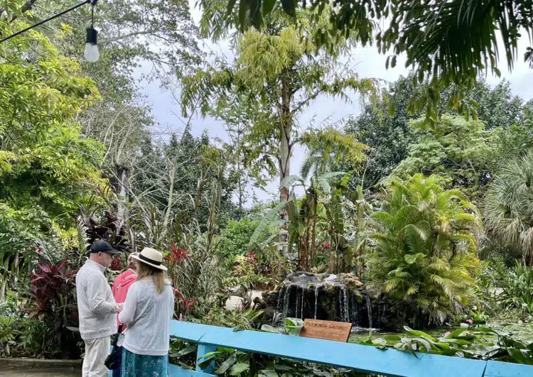 Everglades Wonder Gardens 8 ways the oldtime site delights