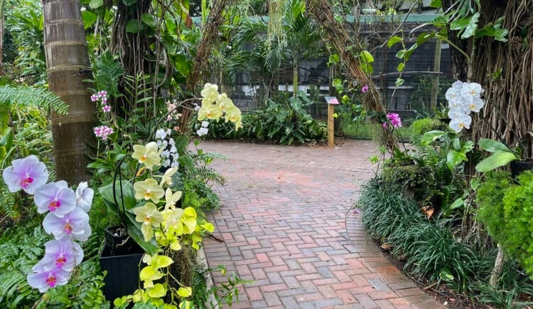 Everglades Wonder Gardens: Old-time roadside attraction reborn in Bonita Springs 3 Orchids along the walkways at Everglades Wonder Gardens in Bonita Springs. (Photo: Bonnie Gross)