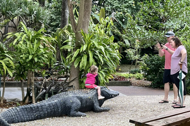 The concrete alligator on display now is a throwback to the original Everglades Wonder Gardens. (Photo: Bonnie Gross)