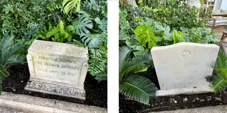 Two graves of beloved aniamls are side by side in Via Mizner: Johnnie Brown, AddisonMizner's spider monkey, and Laddie, the dog owned by the next owner of the apartment, who had to appeal to the town council to bury their dog here. (Photo: Bonnie Gross)